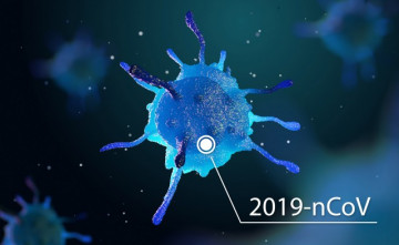 Что ВАЖНО знать о Covid-19?